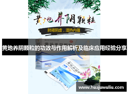 黄地养阴颗粒的功效与作用解析及临床应用经验分享