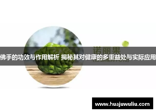 佛手的功效与作用解析 揭秘其对健康的多重益处与实际应用