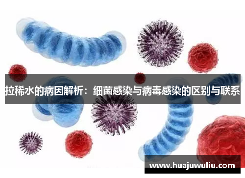 拉稀水的病因解析：细菌感染与病毒感染的区别与联系