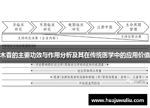 木香的主要功效与作用分析及其在传统医学中的应用价值