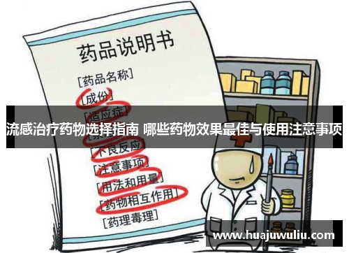 流感治疗药物选择指南 哪些药物效果最佳与使用注意事项