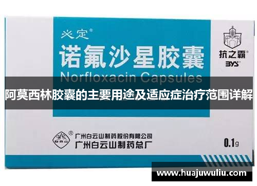 阿莫西林胶囊的主要用途及适应症治疗范围详解